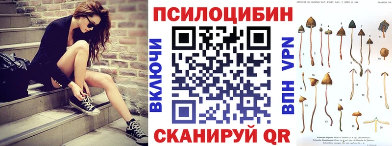 Псилоцибиновые грибы Cubensis  Волчанск 